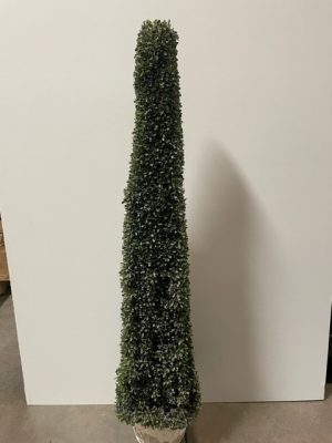 Boxwood Obelisk Topiary Tree 50"