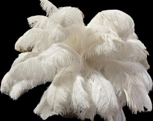 White Feather Topper