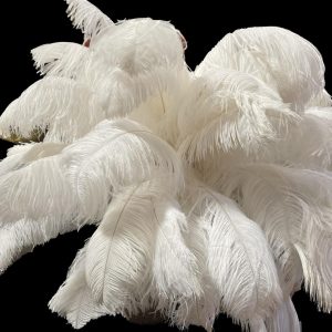 White Feather Topper