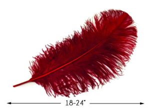 Feather Plume Burgundy