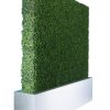 Boxwood Hedge Wall in Silver Trough 7.2'w x 6't - Image 2
