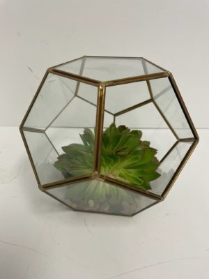 Gold Terrarium Large 8" with Succulent with River Rock