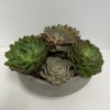 Round Concrete Planter 13" - Image 2