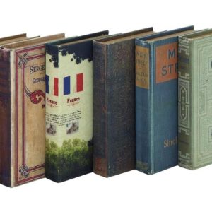 Book Sculpture Boxes set of 6